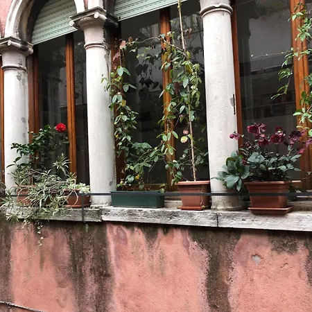 The Magic Of From A Cute Loft Apartment Venice